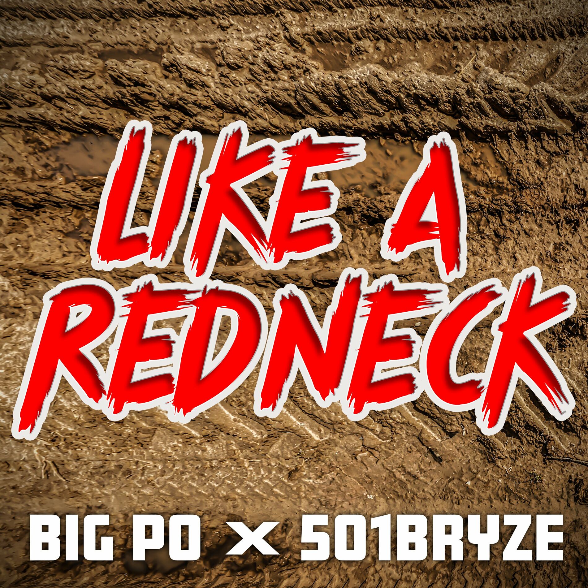 Album cover of Like a Redneck