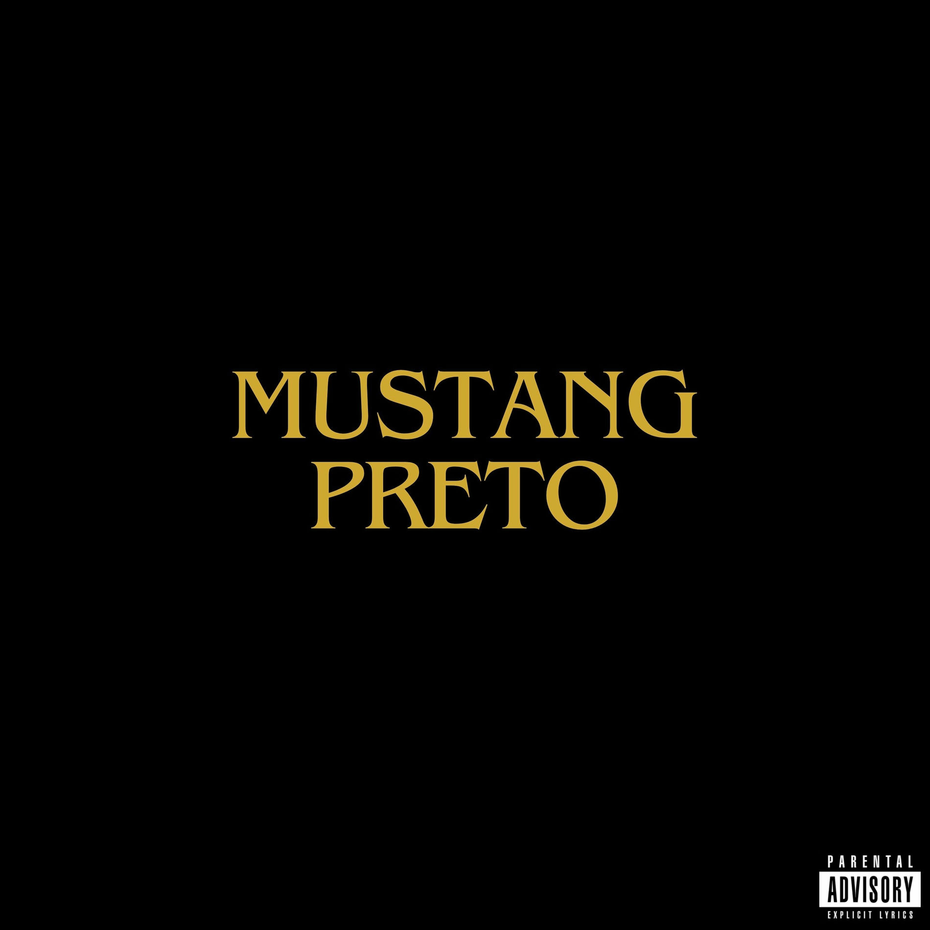 Album cover of Mustang Preto