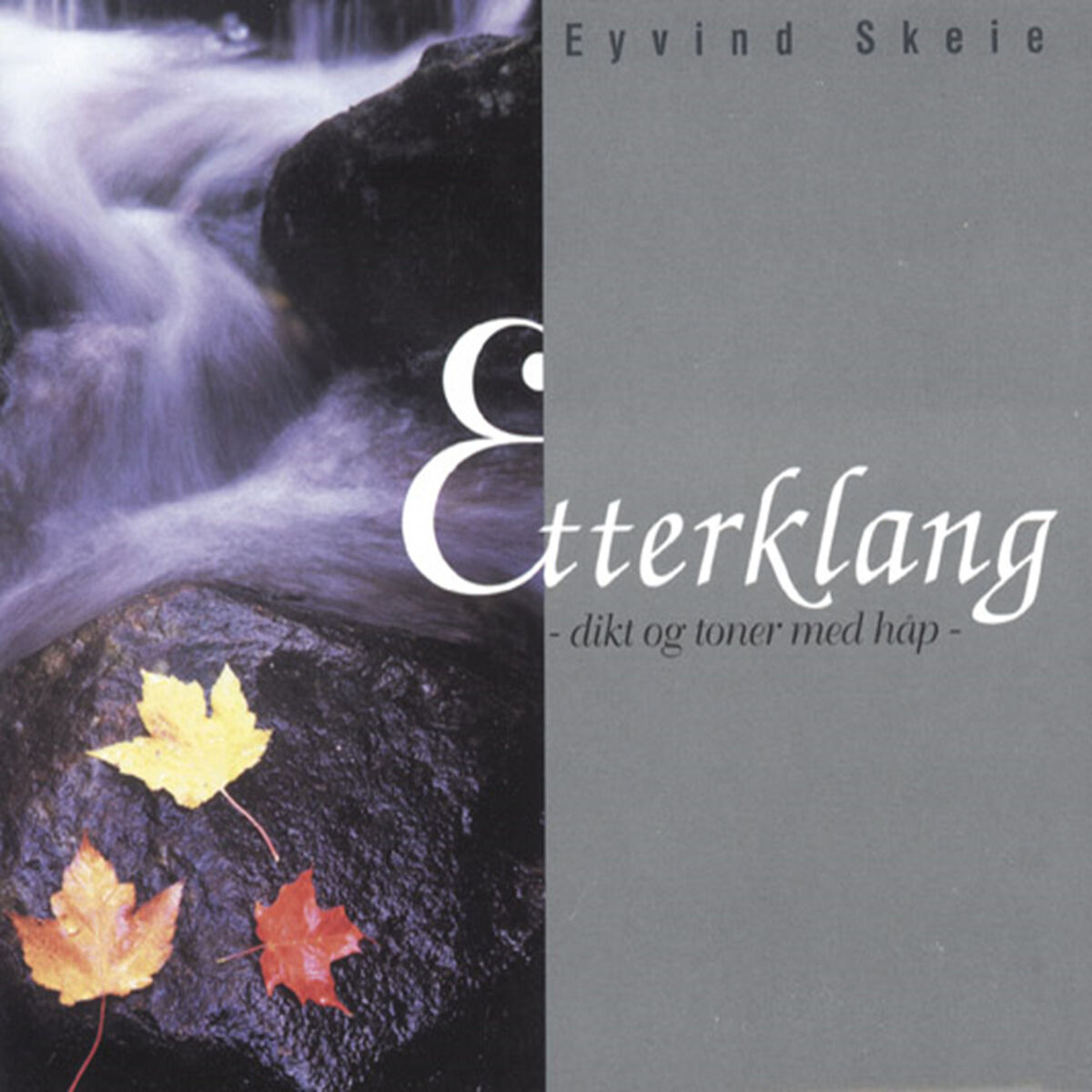Album cover of Etterklang - Dikt Og Toner Med Håp