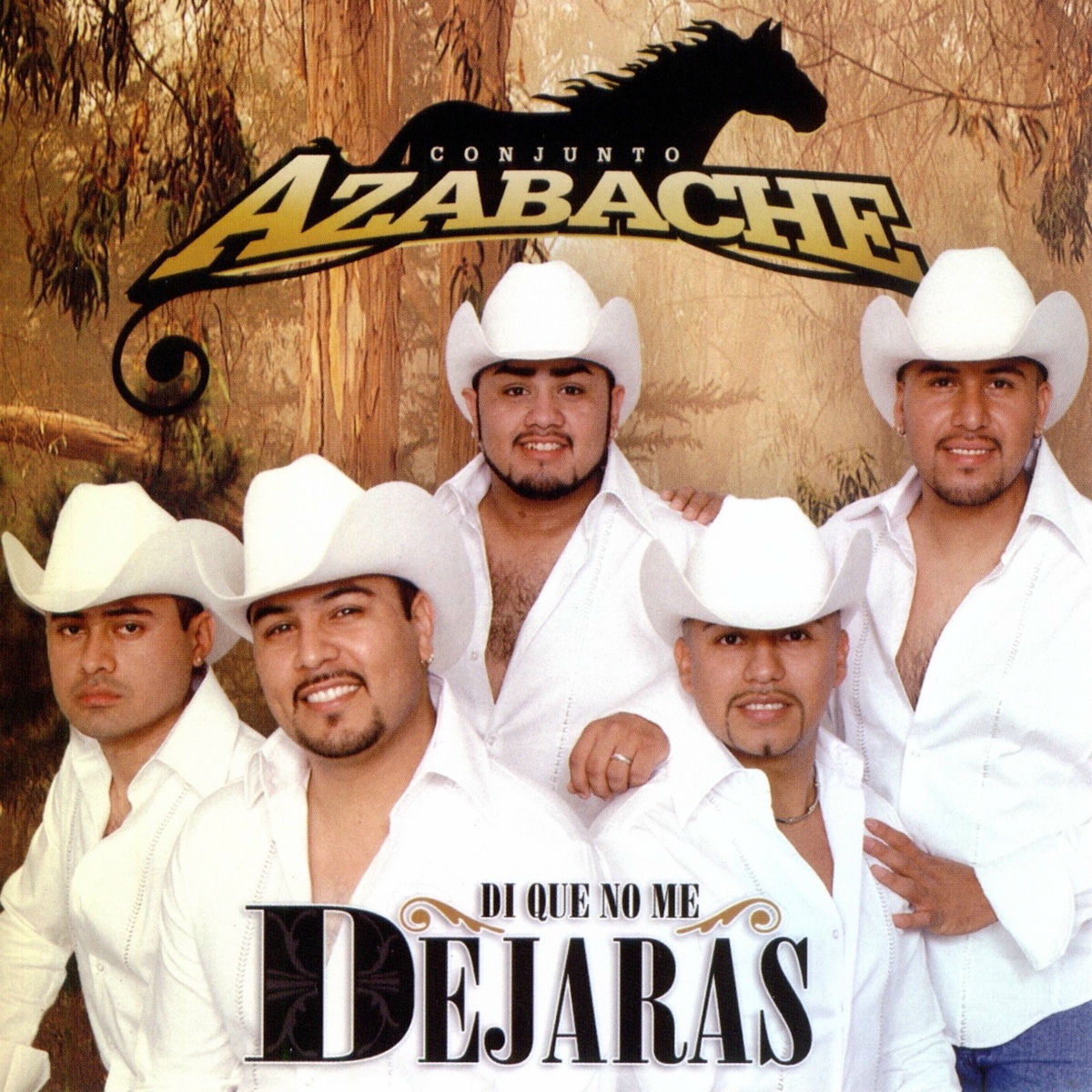 Album cover of Di Que No Me Dejaras