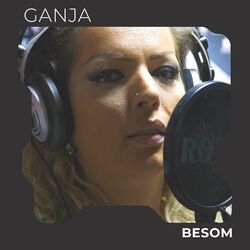 Cover of Besom
