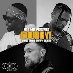 Cover of Goodbye