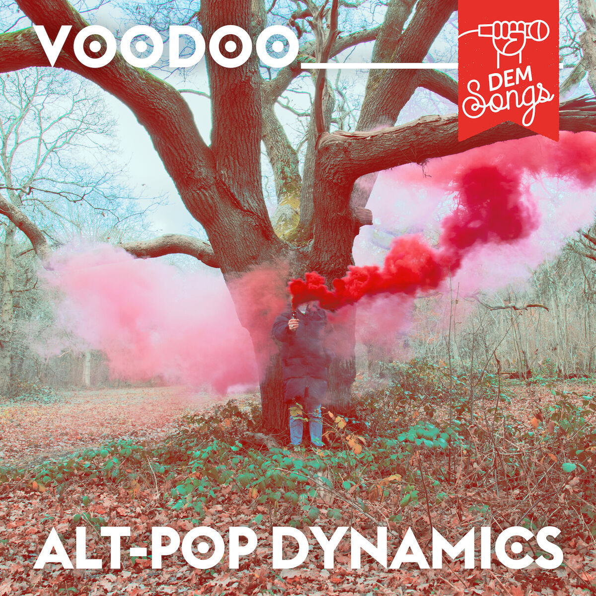 Album cover of Voodoo Alt-Pop Dynamics