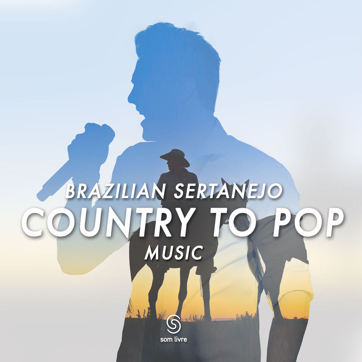 Album cover of Vá Com Deus