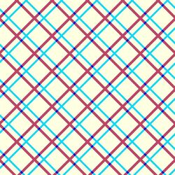 Cover of Slight Variations