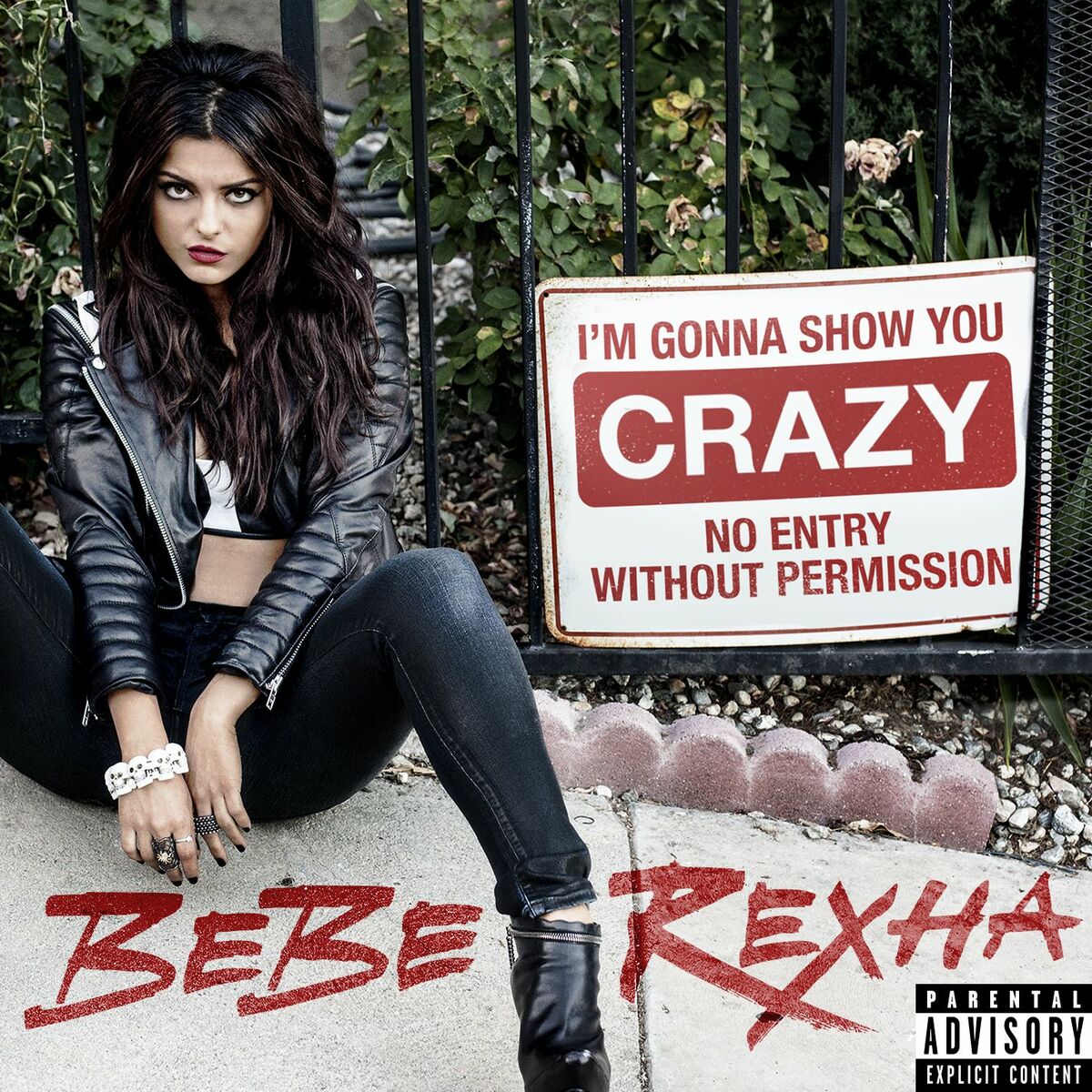 Album picture of I'm Gonna Show You Crazy