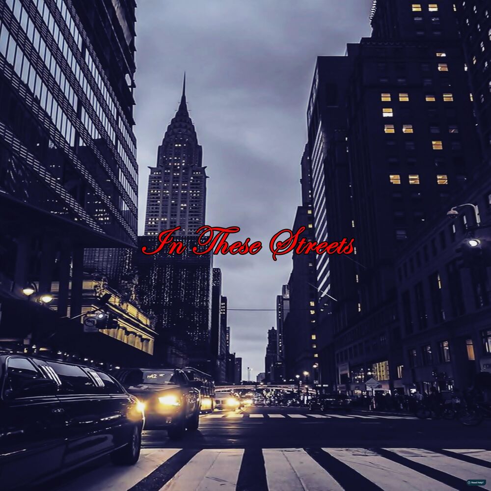 Picture of In These Streets (Instrumental)