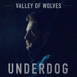 Cover of Underdog