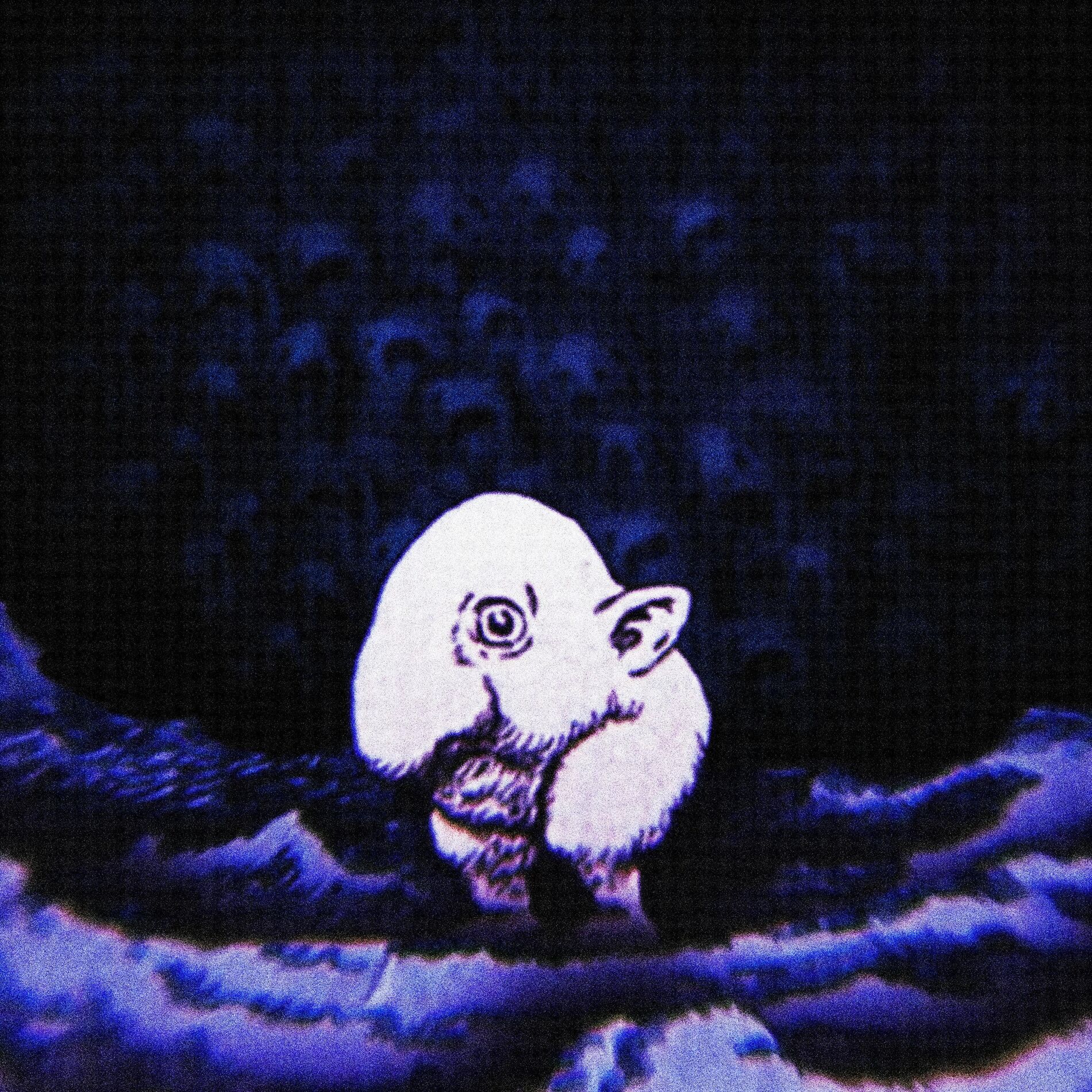 Album cover of Verdugo