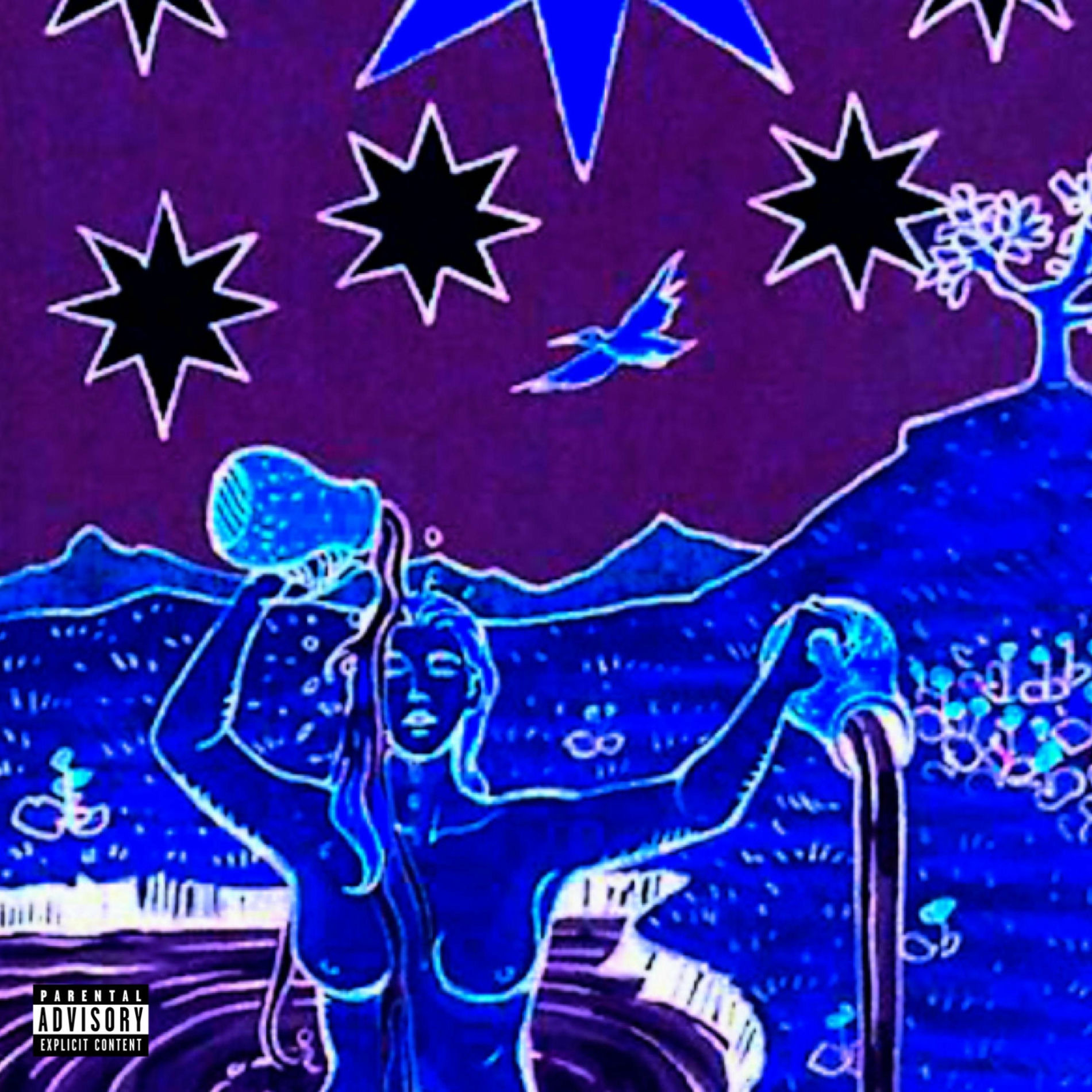 Album cover of THE STAR