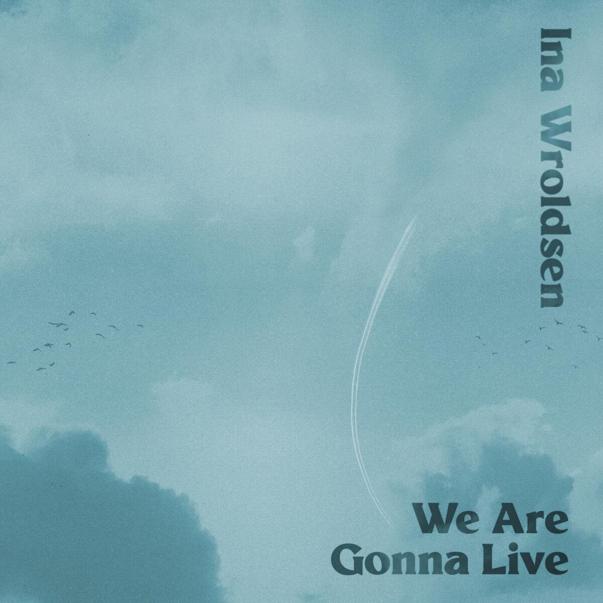 Album cover of We Are Gonna Live