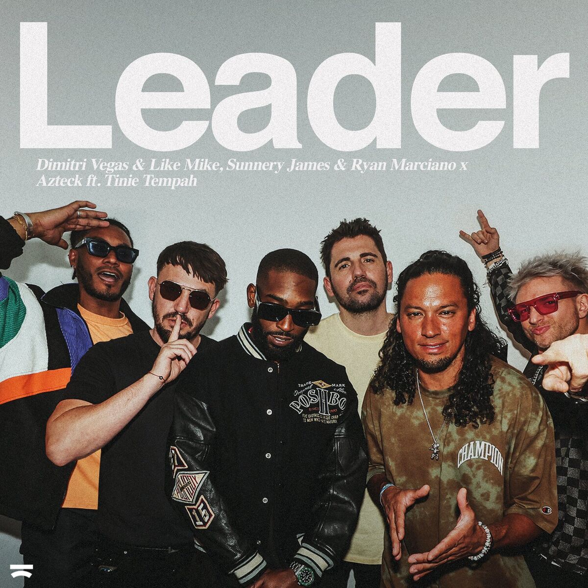 Album cover of Leader