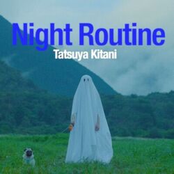 Cover of Night Routine