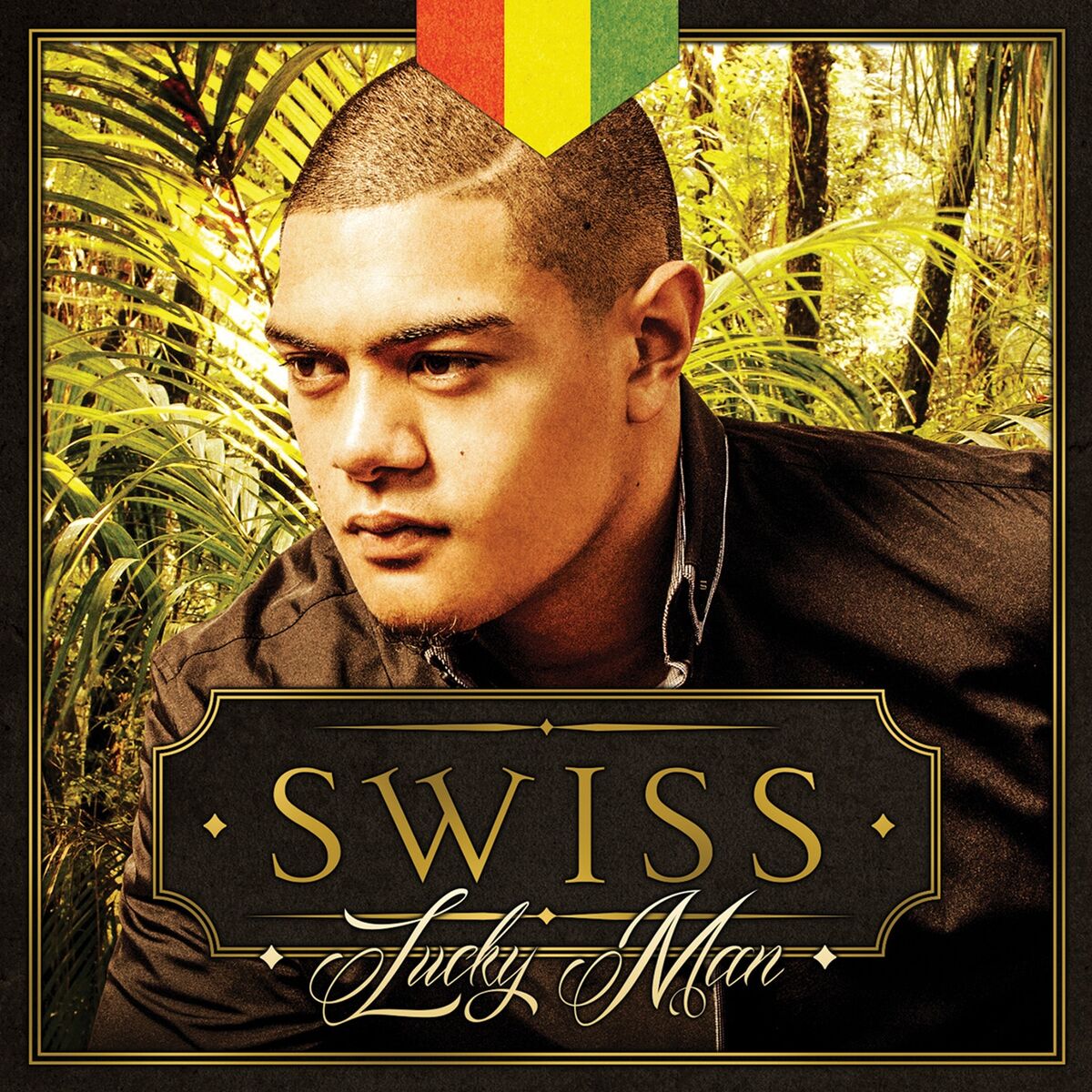 Album cover of Lucky Man