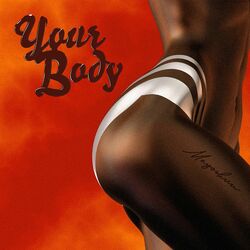 Cover of Your Body