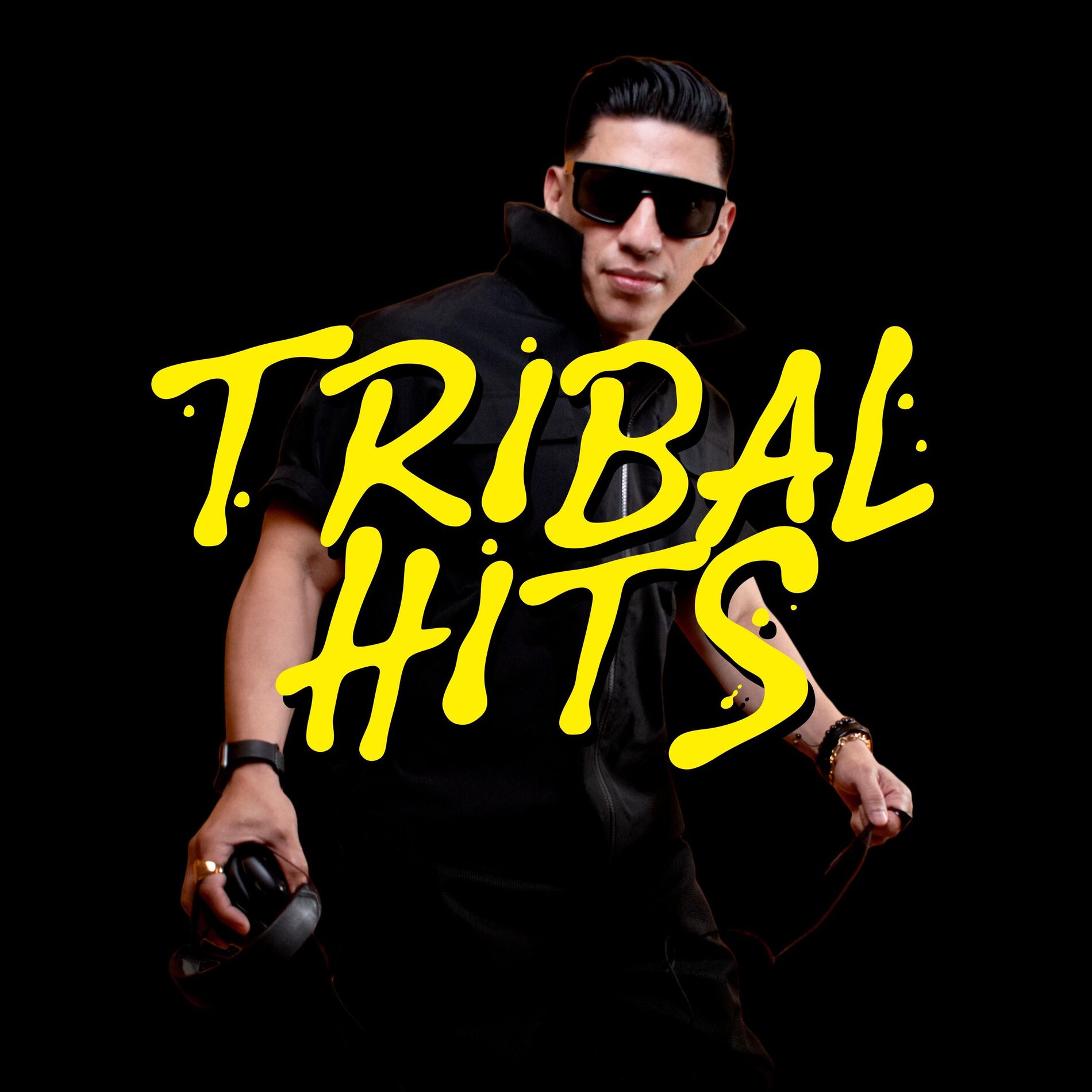 Album cover of Tribal Hits