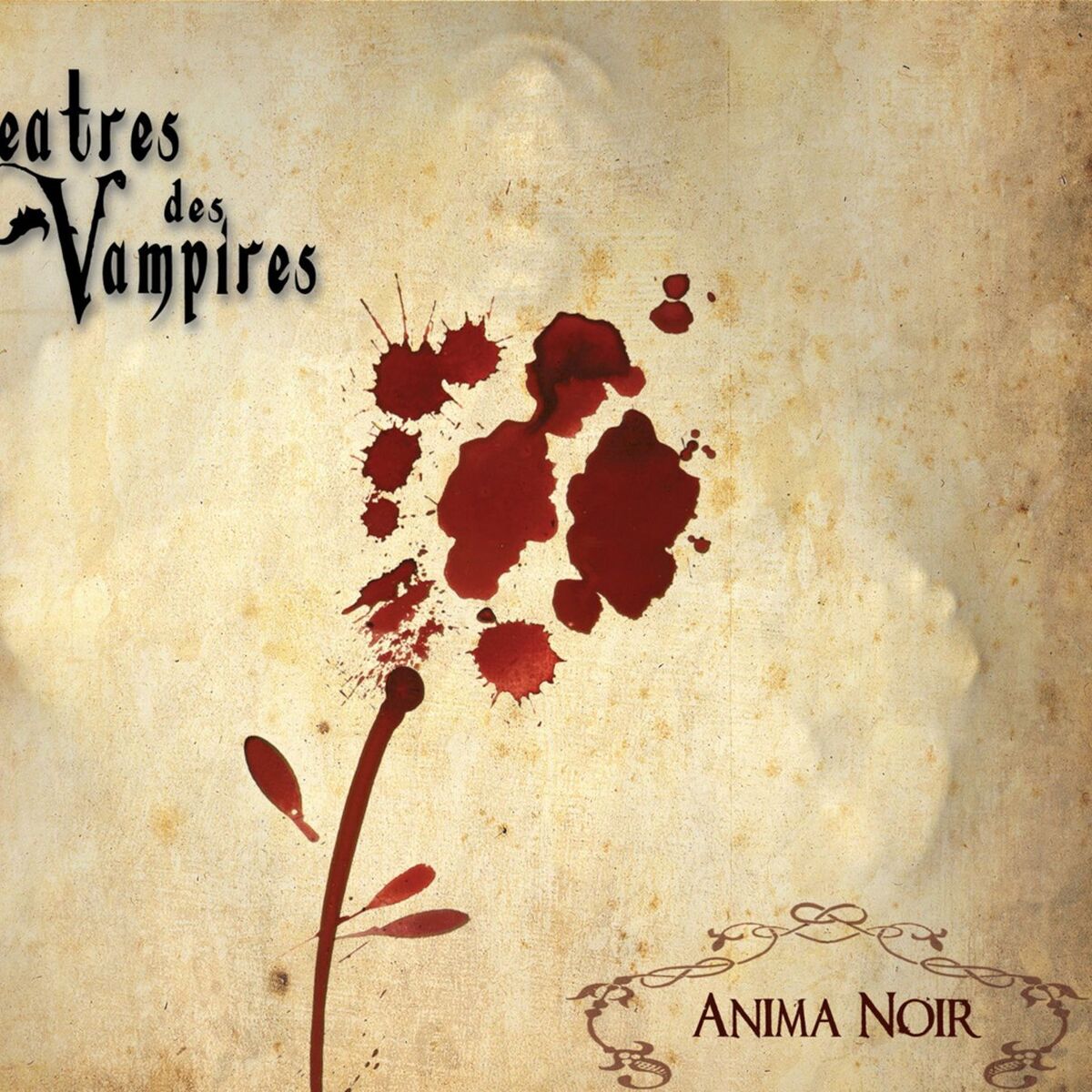Album cover of Anima Noir