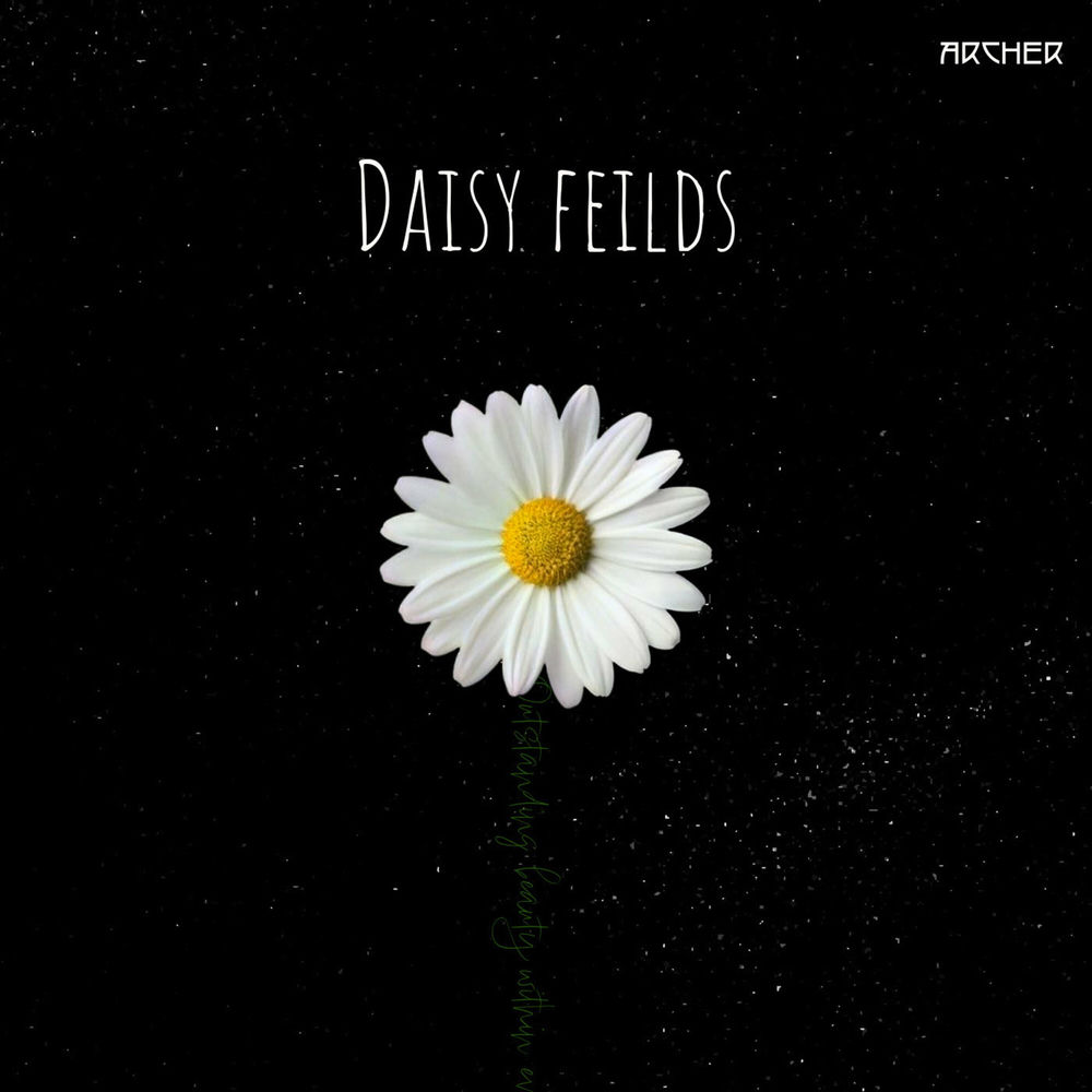 Album artwork for Daisy fields by Archer