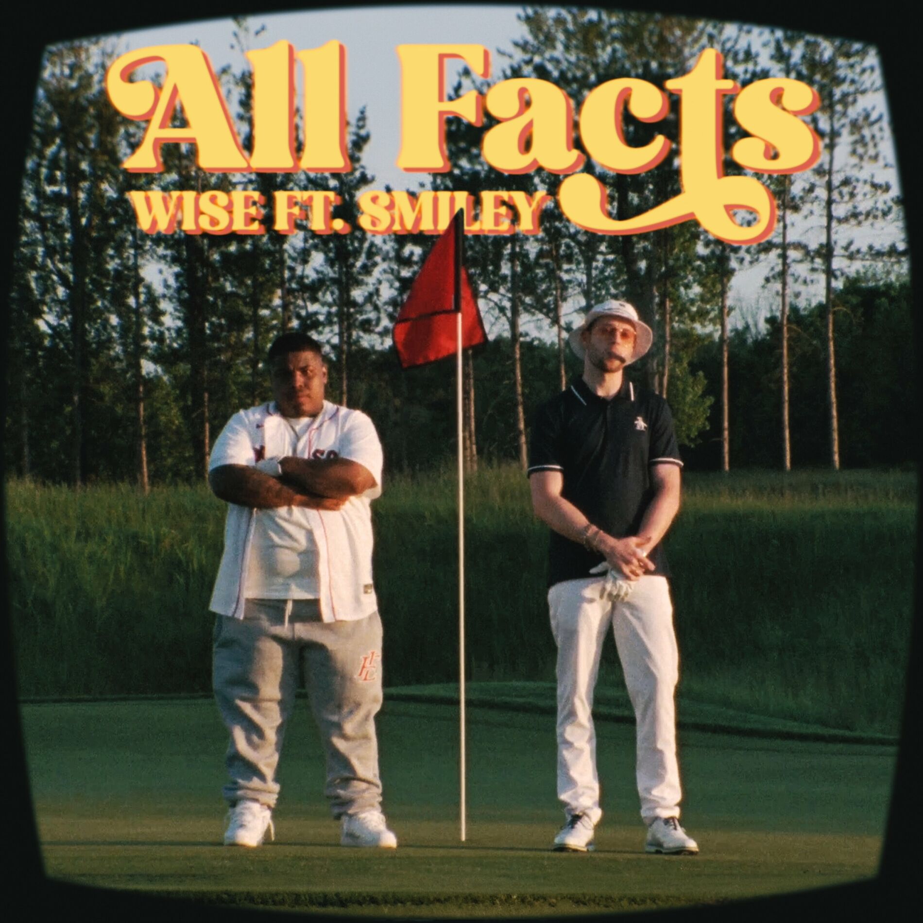 Album cover of All Facts (feat. Smiley)