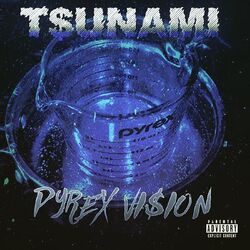 Cover of Pyrex Vision
