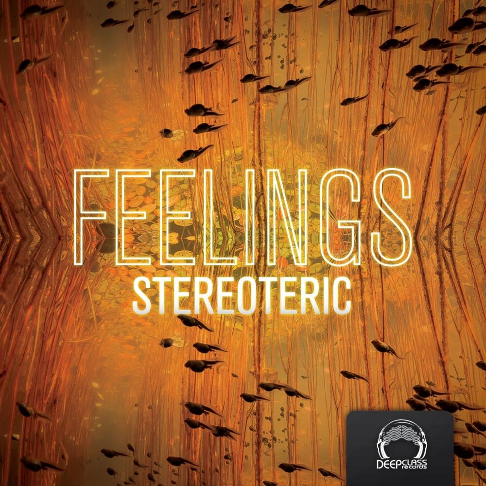 Picture of Feelings EP