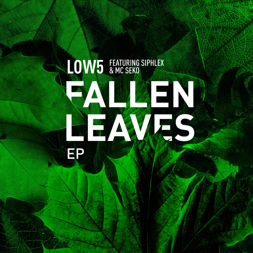 Picture of Fallen Leaves EP