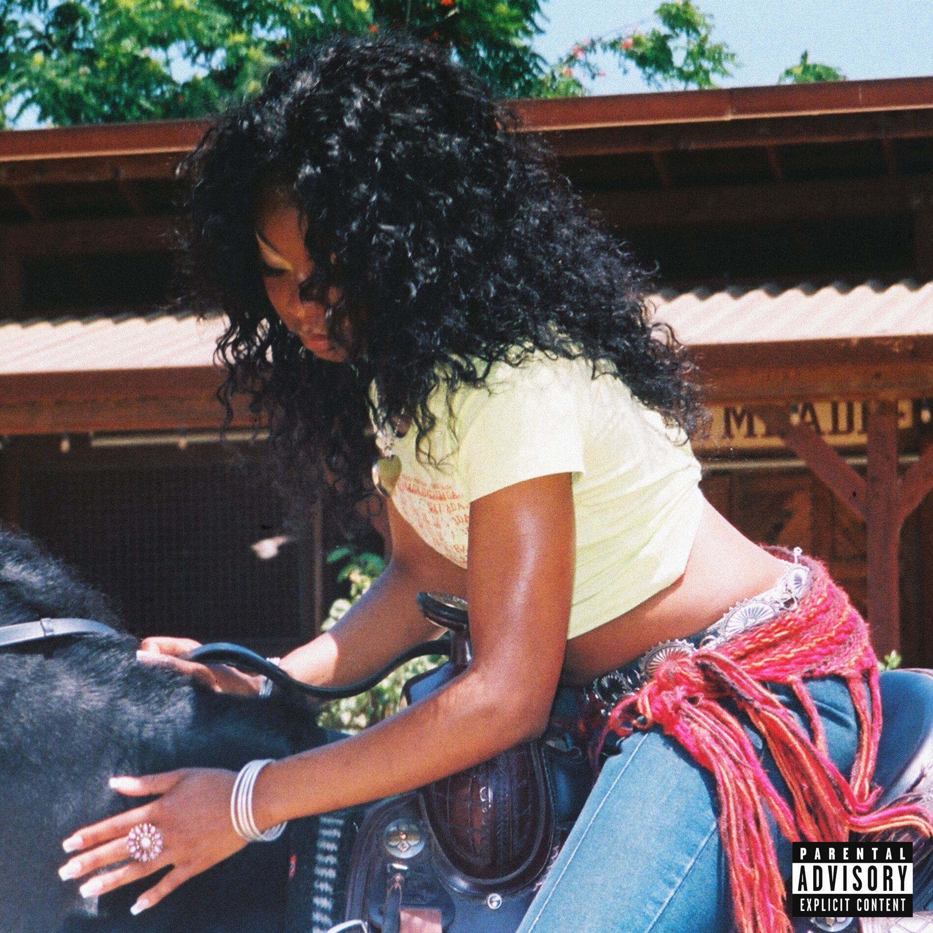 Album cover of The Ranch