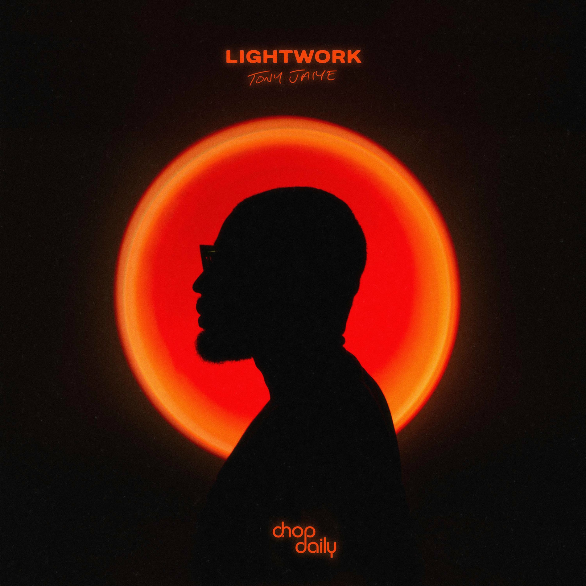 Album cover of Lightwork