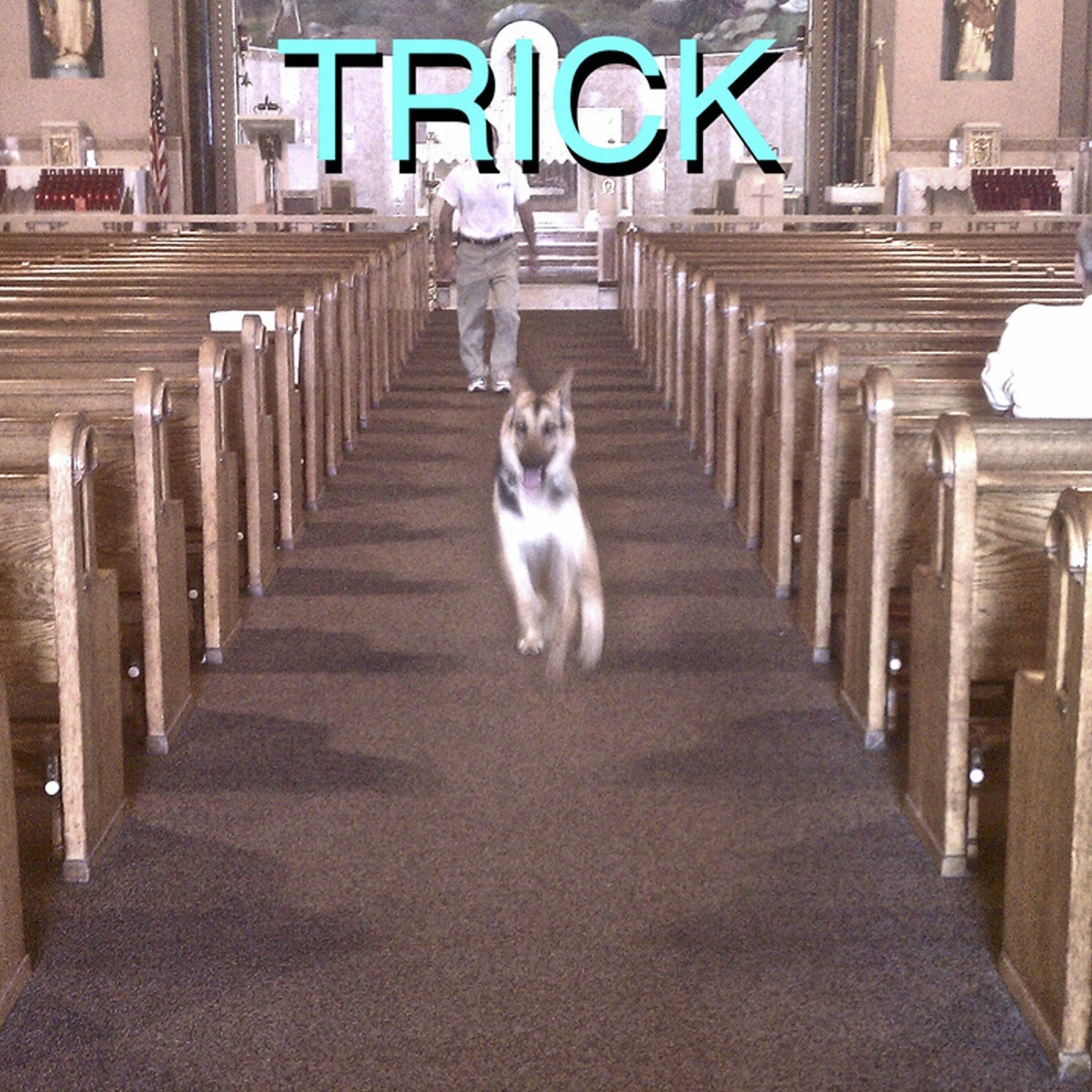 Album picture of Trick