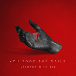 Cover of You Took the Nails (Radio Edit)