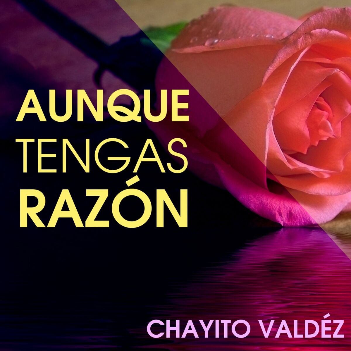 Album cover of Aunque Tengas Razón