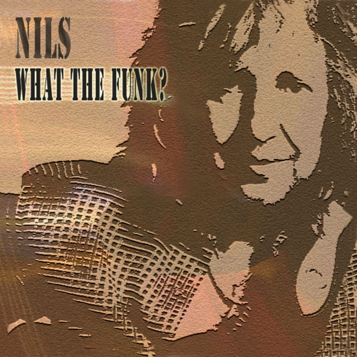Album cover of What the Funk