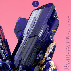 Cover of Dualities