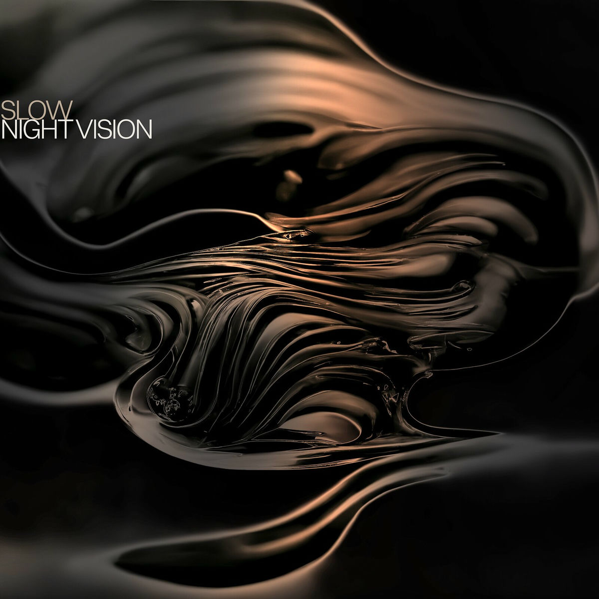 Album cover of Night Vision