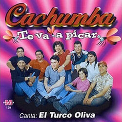 Cover of Te Va a Picar