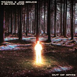 Cover of Out Of Spite