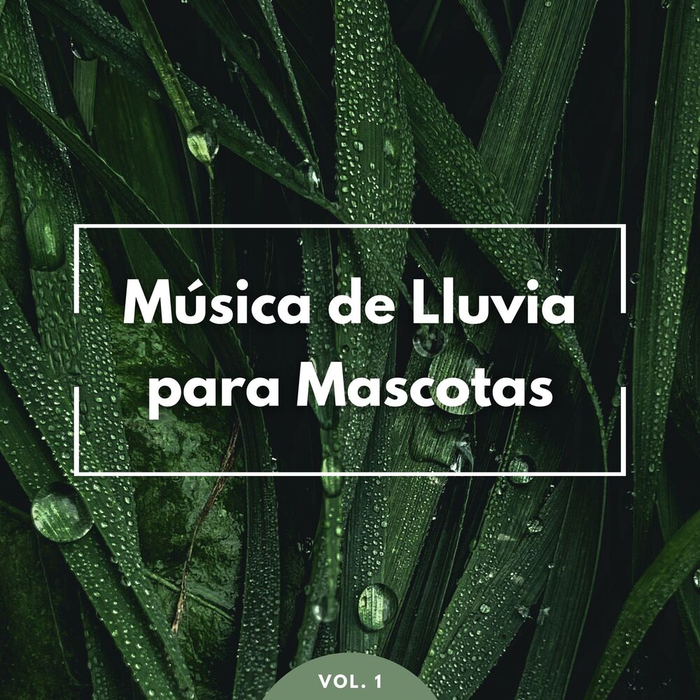Picture of Música: Música De Lluvia Para Mascotas Vol. 1