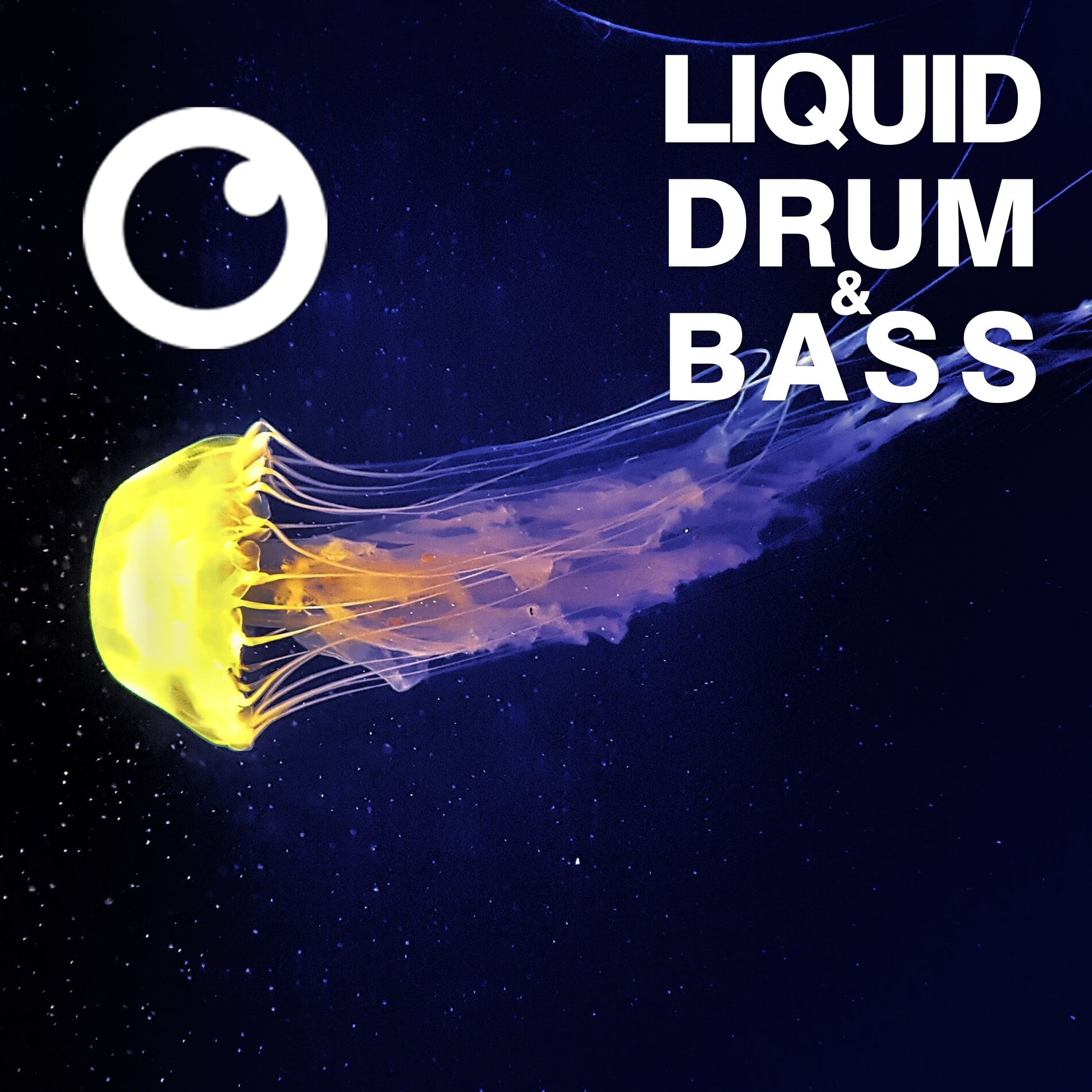 Album cover of Liquid Drum & Bass Sessions 2020 Vol 28