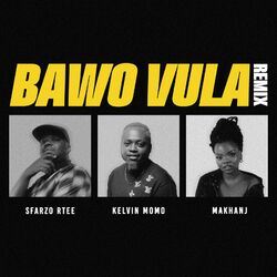 Cover of Bawo Vula (Remix)