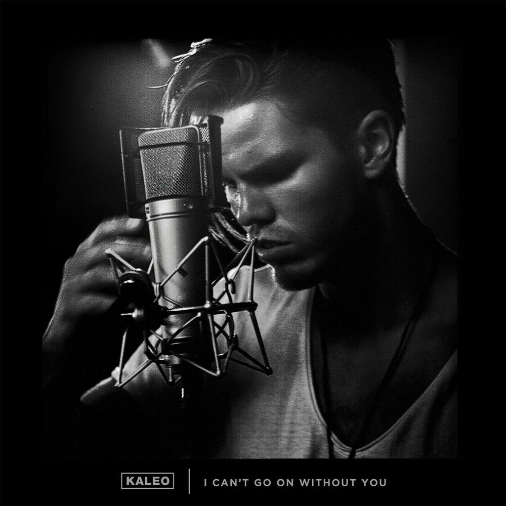 Picture of I Can't Go on Without You