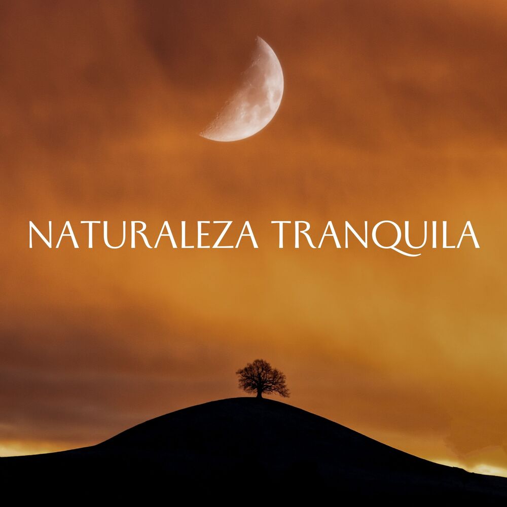 Picture of Naturaleza Tranquila