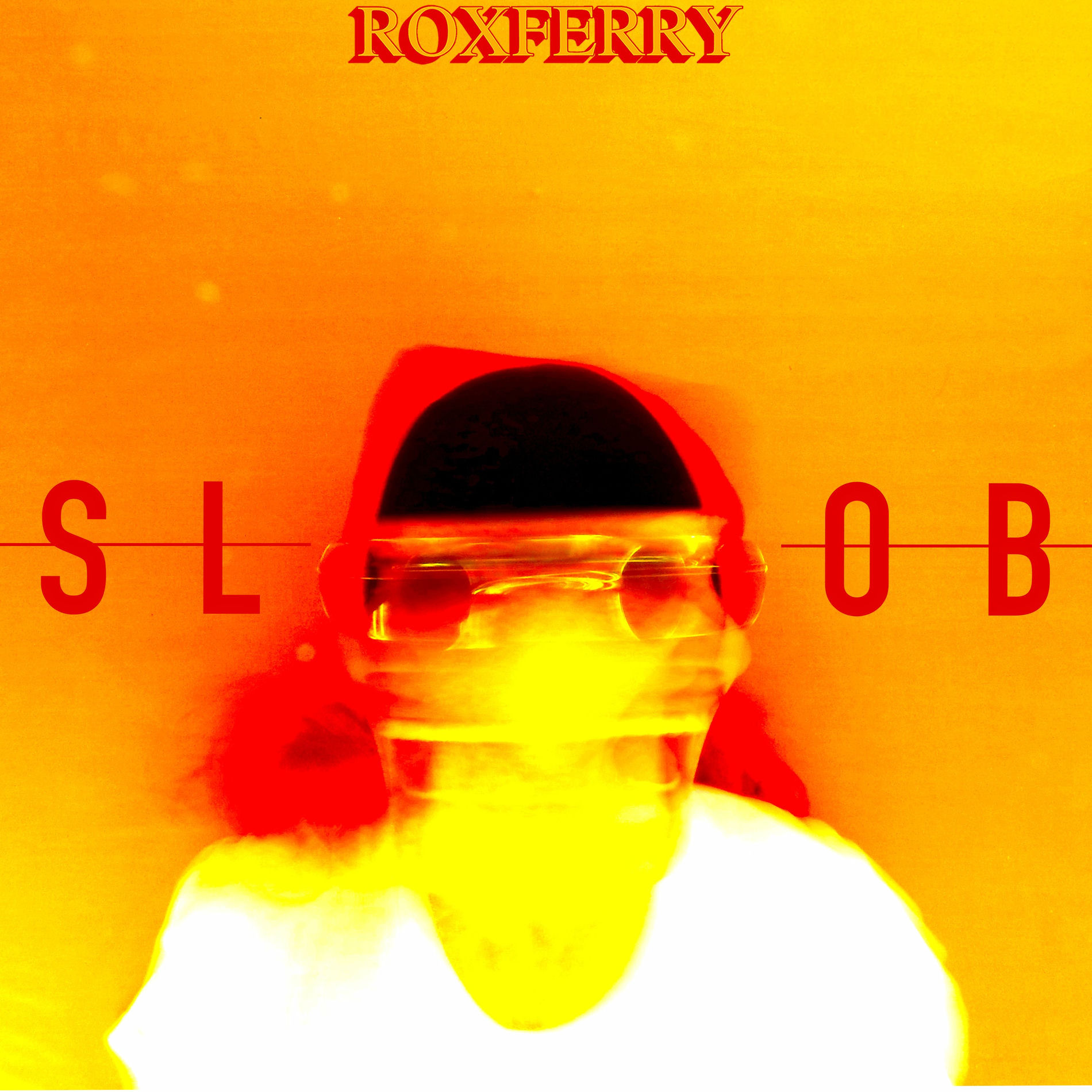 Album cover of Slob