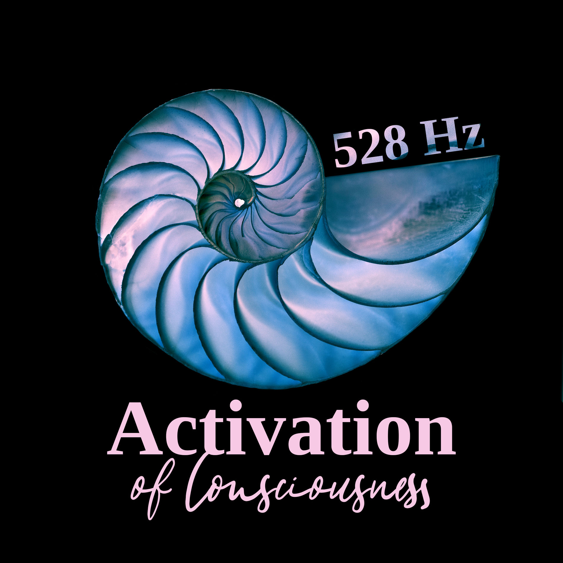 Album cover of 528 Hz Activation of Consciousness (Whole Being Regeneration, Buddhism Meditation & Sleep)