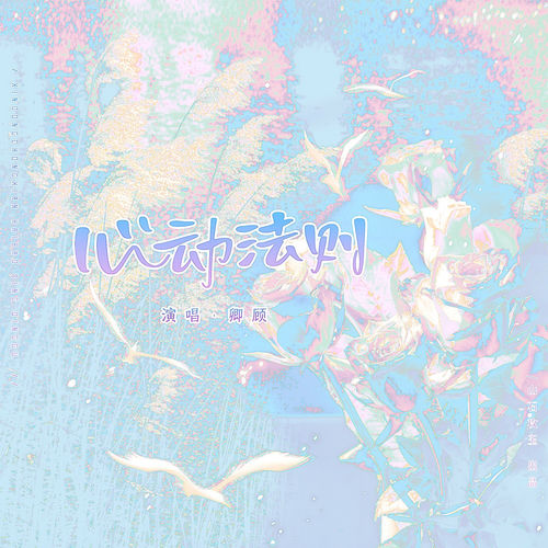 心动法则