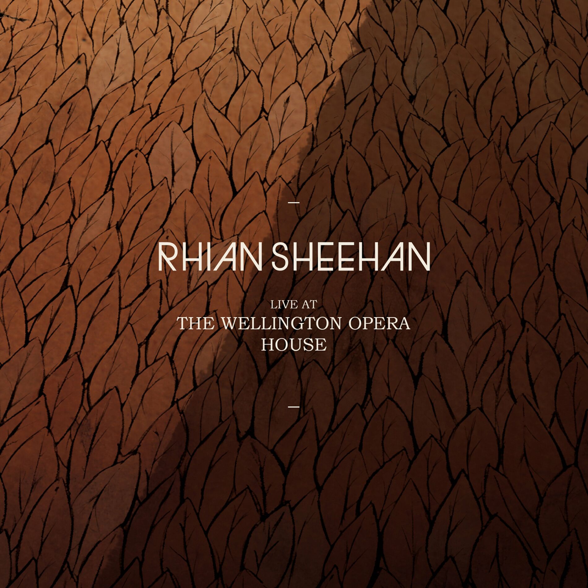 Album cover of Live at the Wellington Opera House