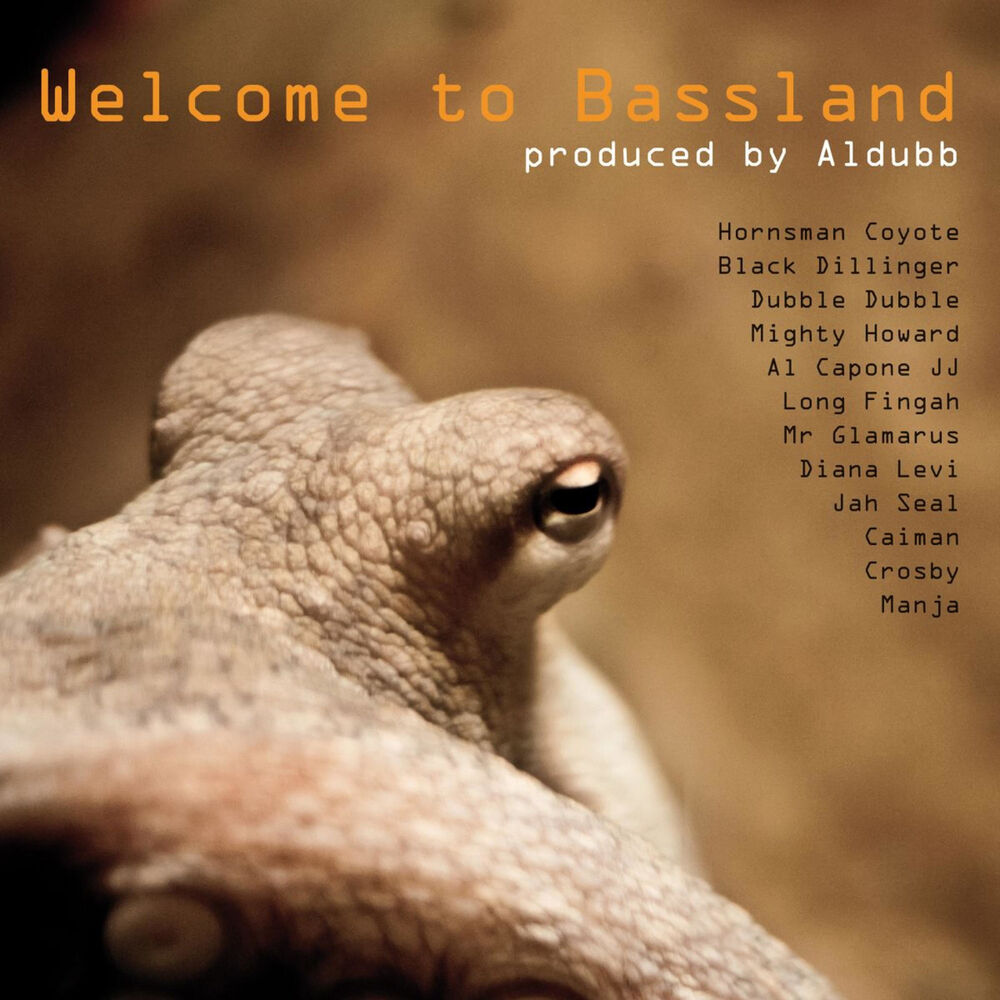Picture of Welcome to Bassland
