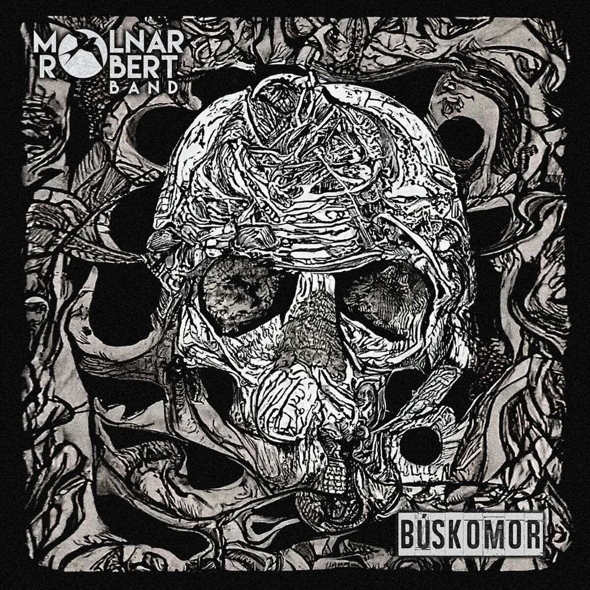 Album cover of Búskomor