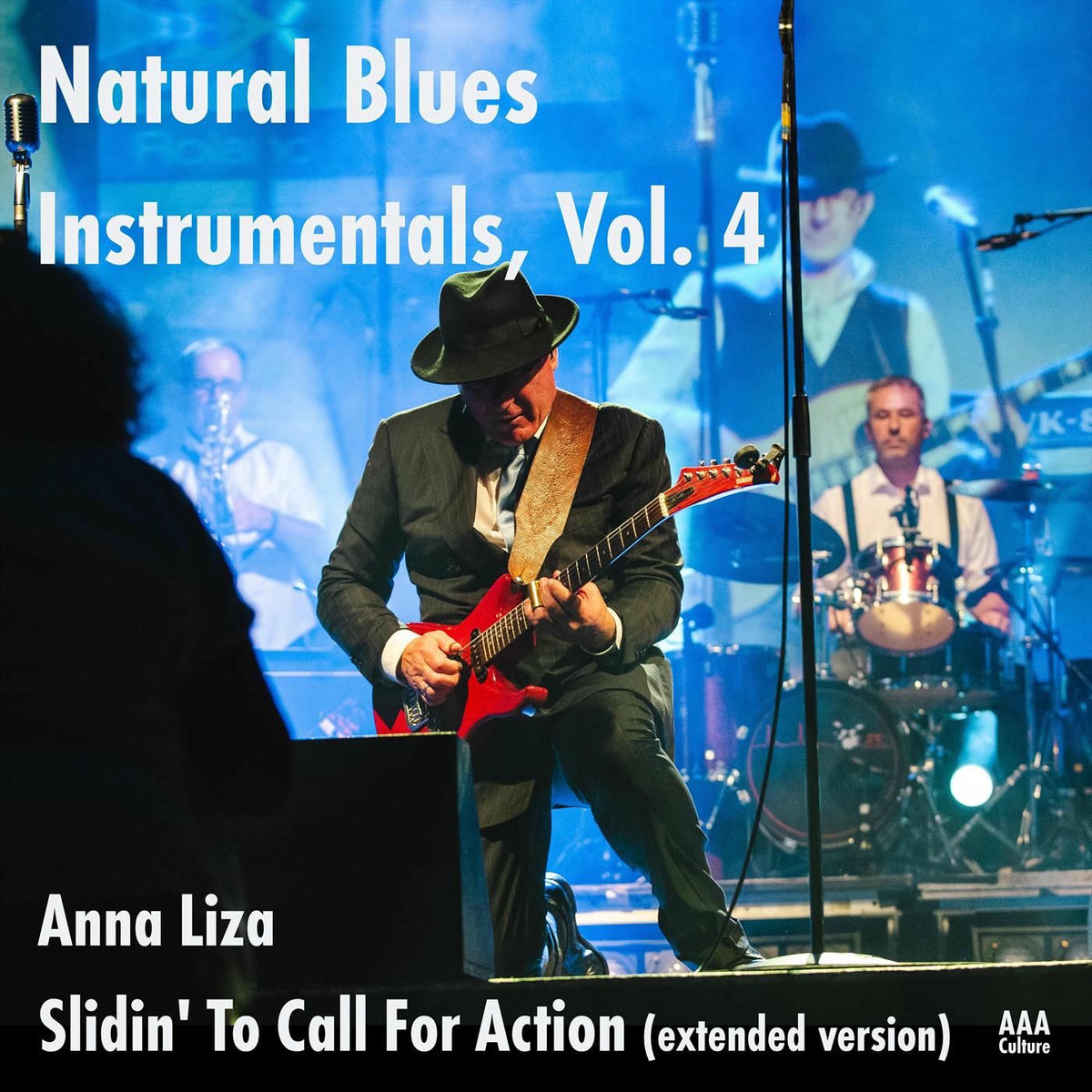 Album cover of Anna Liza
