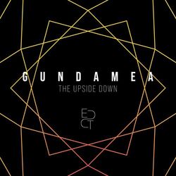 Cover of The Upside Down