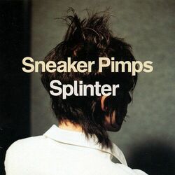 Cover of Splinter